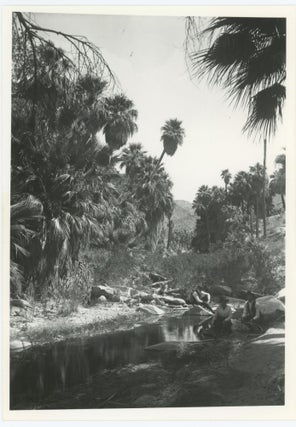 PALM SPRINGS GLASS PLATE NEGATIVES, CIRCA 1914