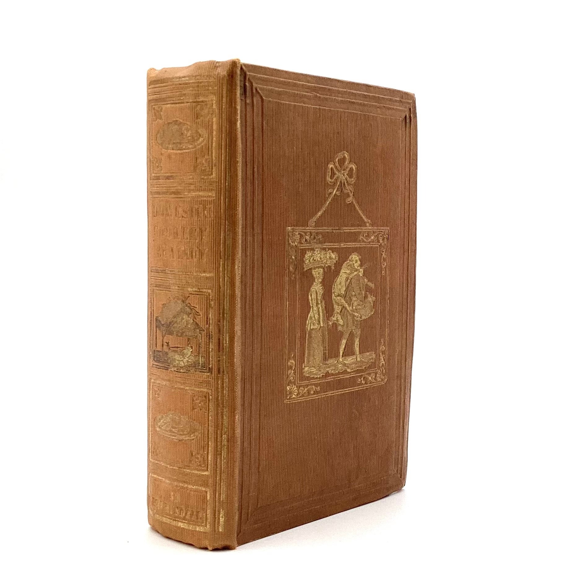 A NEW SYSTEM OF DOMESTIC COOKERY; Formed upon Principles of Economy ...