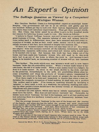 AN EXPERT&rsquo;S OPINION. THE SUFFRAGE QUESTION AS VIEWED BY A COMPETENT MICHIGAN WOMAN. Women's Suffrage.